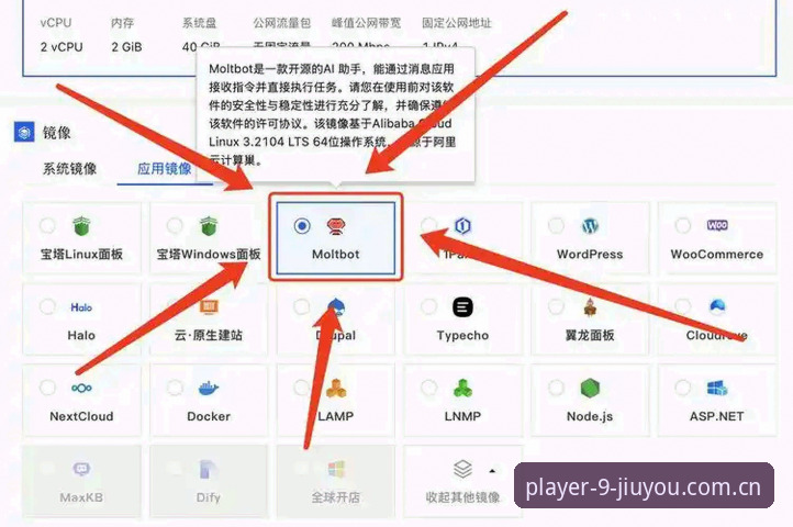 圈内人实战分享：九游APP替代站怎么选？这些门道你得懂
